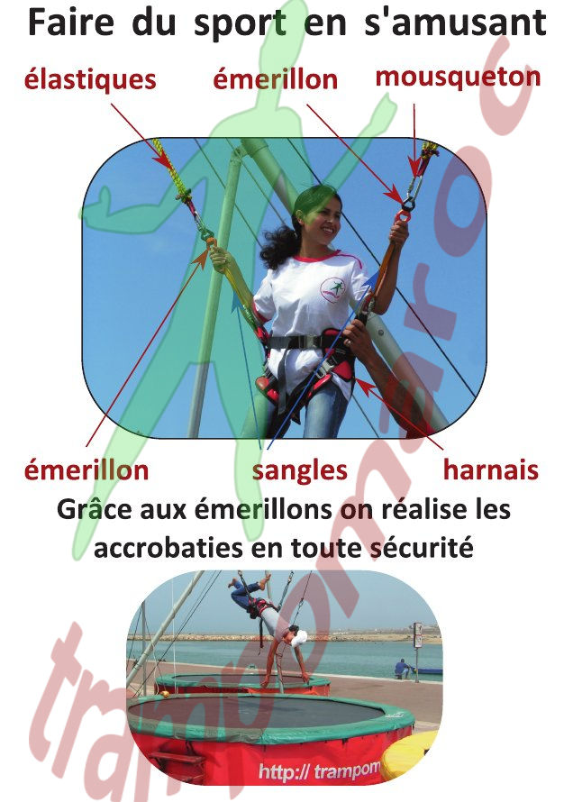 Schéma du bungy trampoline : harnais, élastiques, émerillons et mousquetons